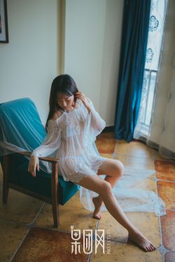 金瓶风月国语