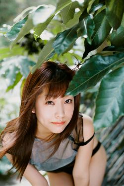 后汉书谁写的